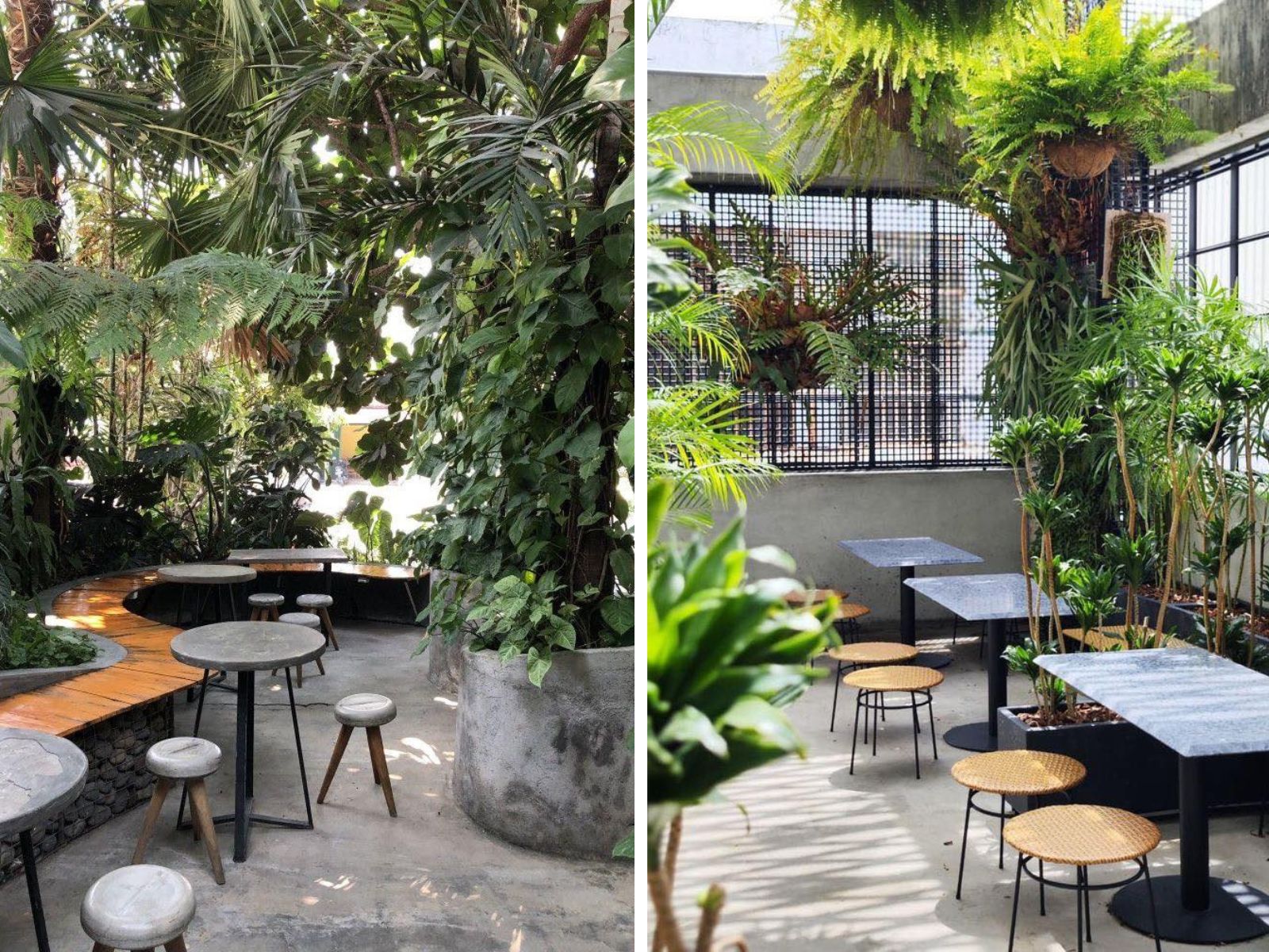 Thiết kế quán cafe sân vườn nhiệt đới